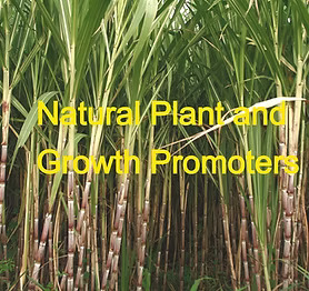  Natural Plant Growth Promoters